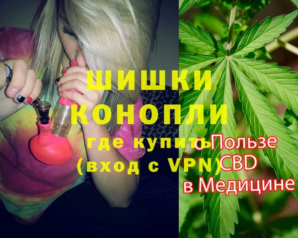 стаф Богданович